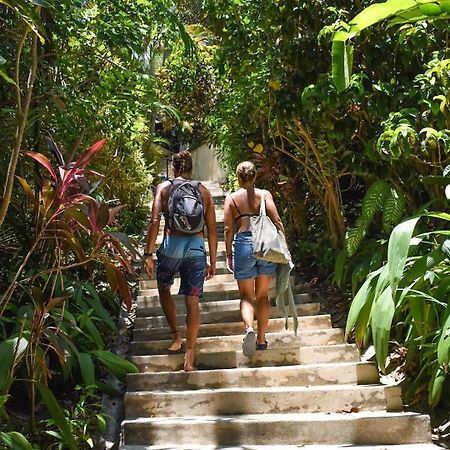 Funky Monkey Lodge Playa Santa Teresa  Ngoại thất bức ảnh