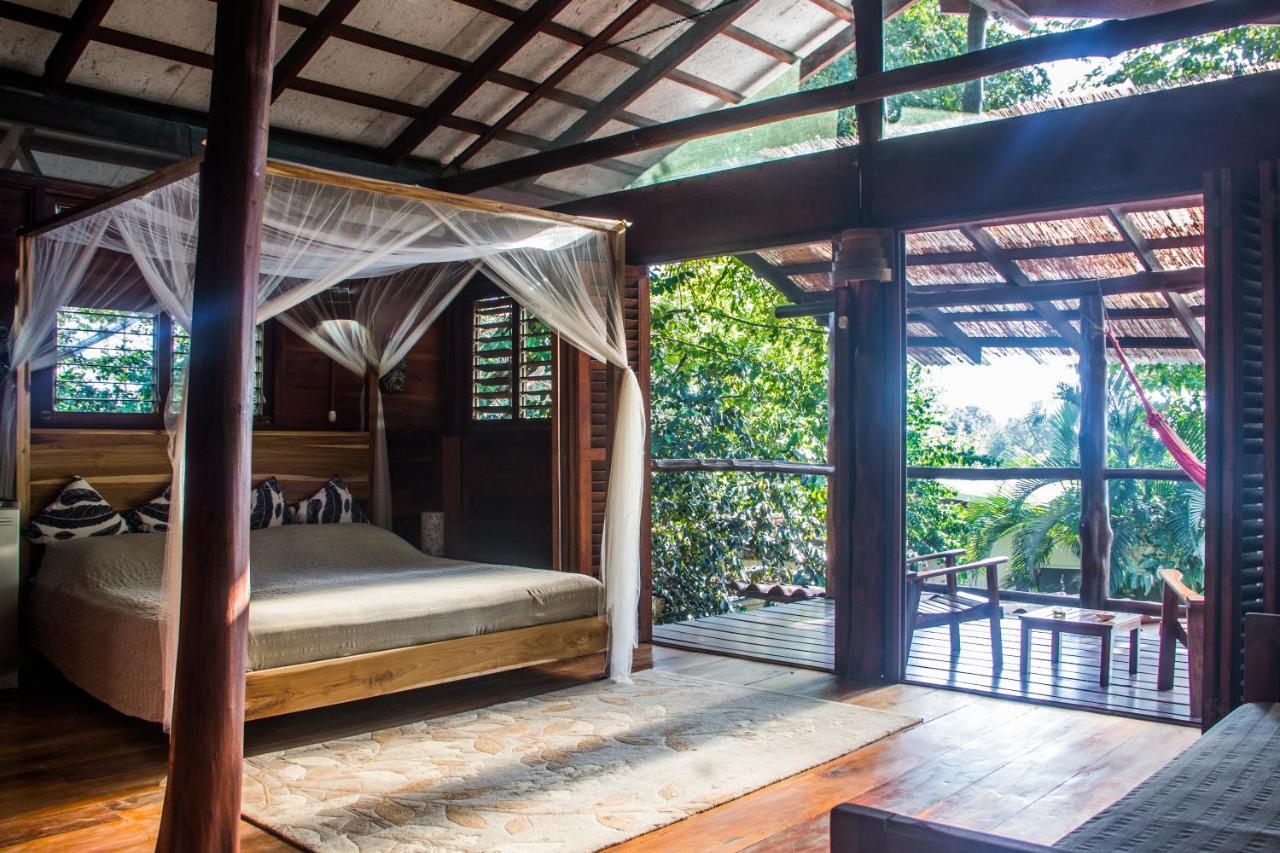 Funky Monkey Lodge Playa Santa Teresa  Ngoại thất bức ảnh