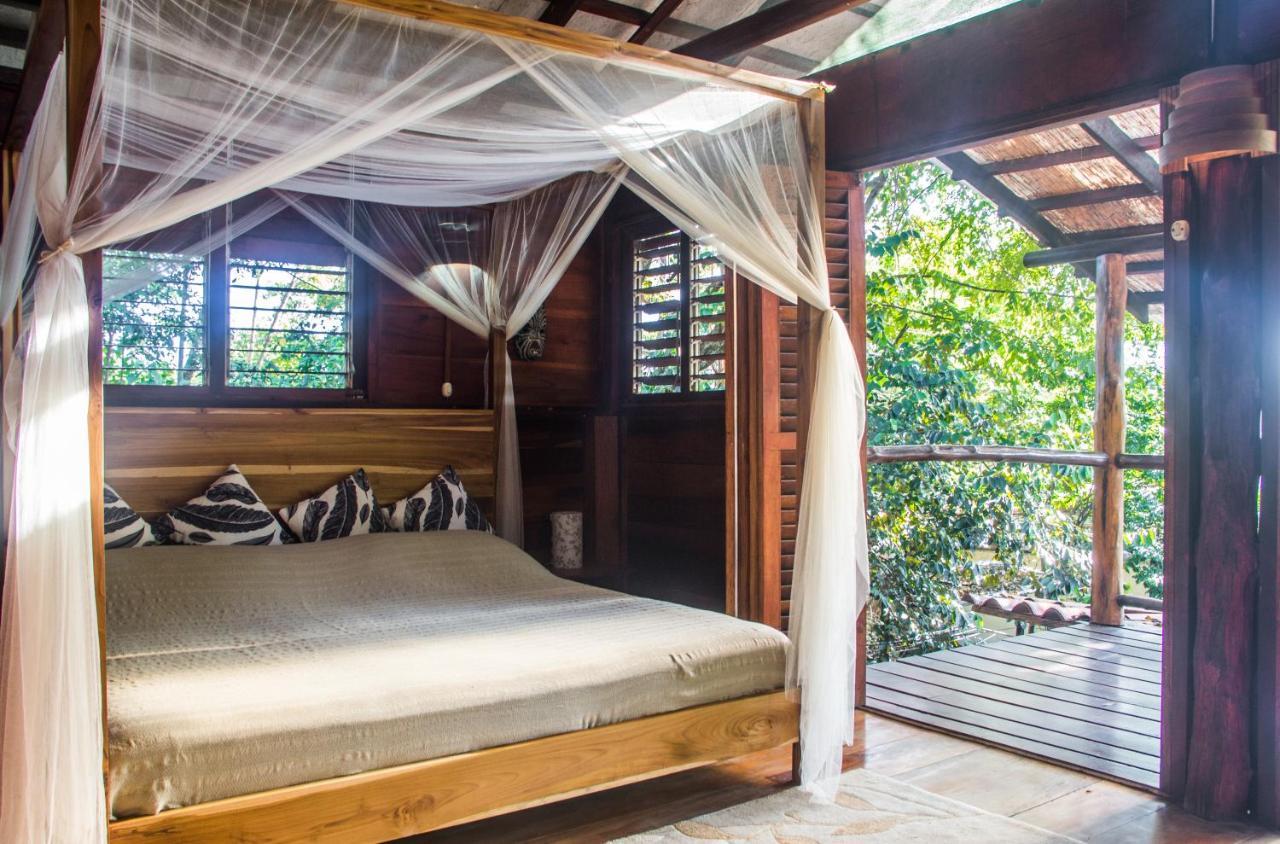 Funky Monkey Lodge Playa Santa Teresa  Ngoại thất bức ảnh