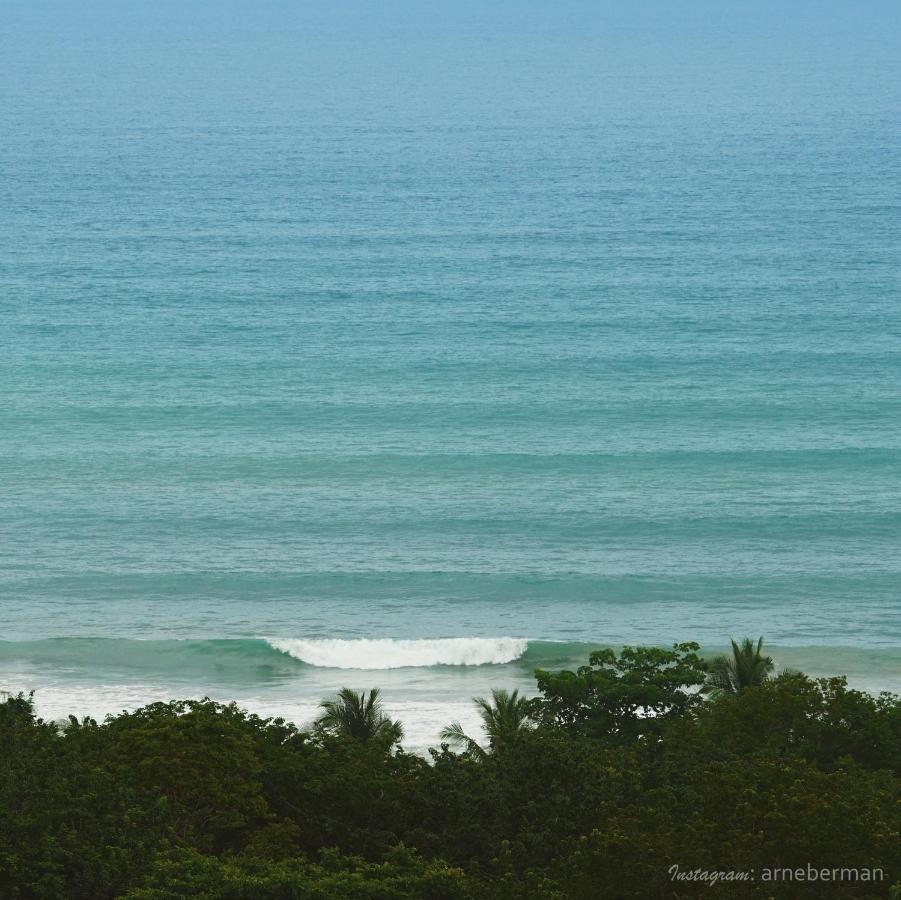 Funky Monkey Lodge Playa Santa Teresa  Ngoại thất bức ảnh