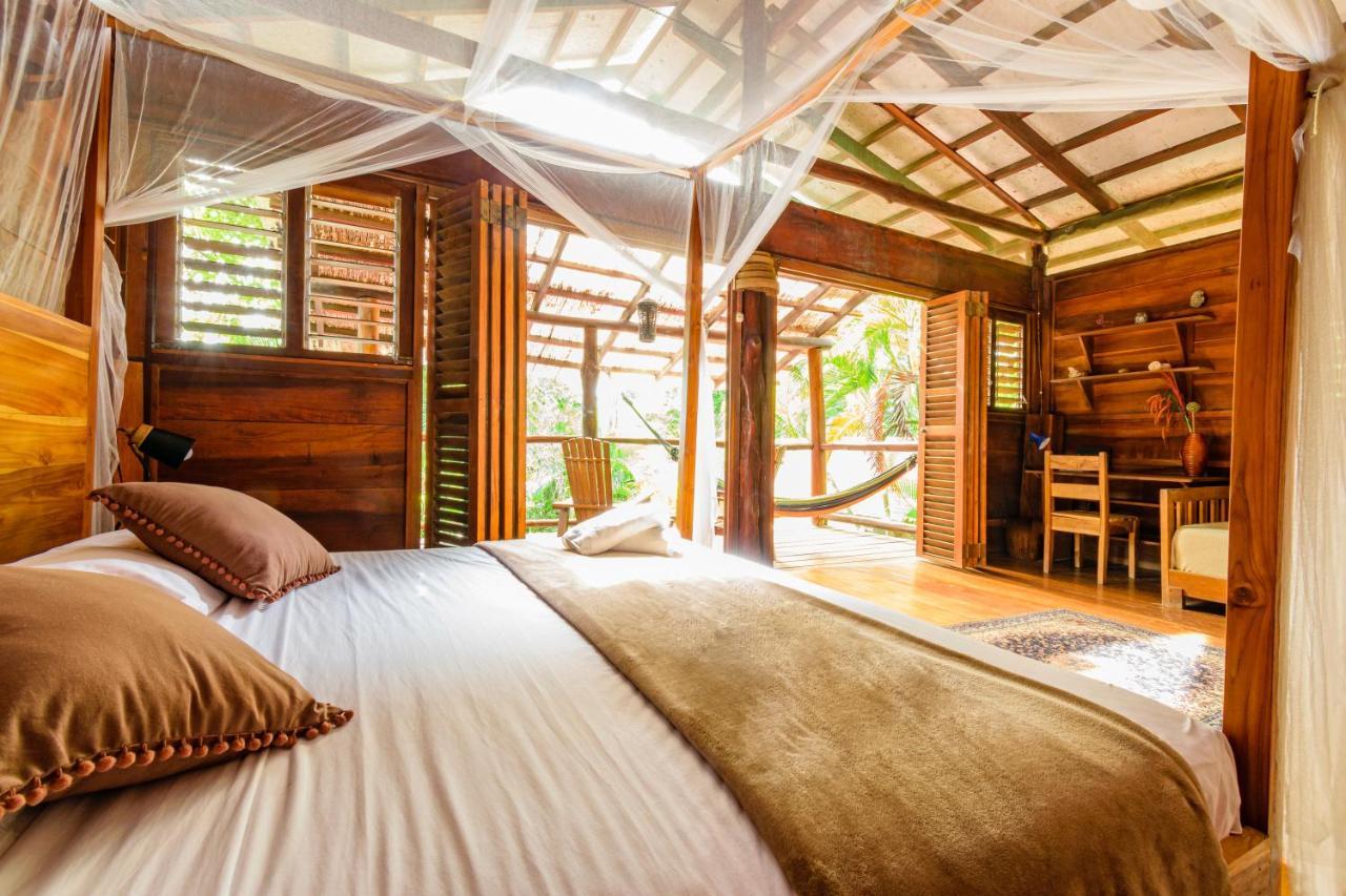 Funky Monkey Lodge Playa Santa Teresa  Ngoại thất bức ảnh