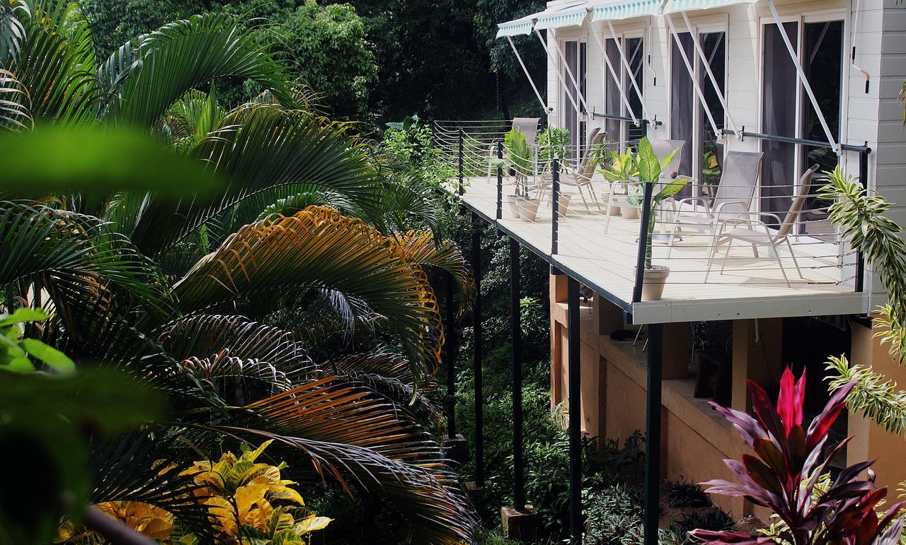 Funky Monkey Lodge Playa Santa Teresa  Ngoại thất bức ảnh