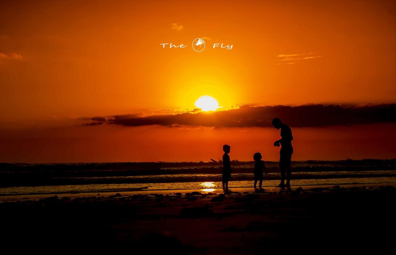Funky Monkey Lodge Playa Santa Teresa  Ngoại thất bức ảnh