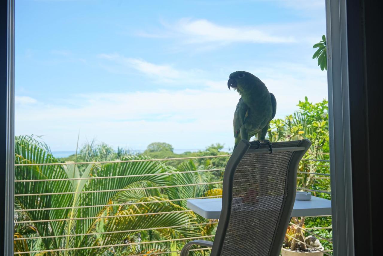Funky Monkey Lodge Playa Santa Teresa  Ngoại thất bức ảnh