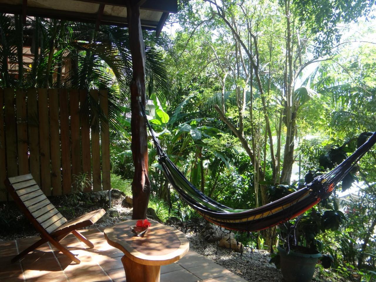 Funky Monkey Lodge Playa Santa Teresa  Ngoại thất bức ảnh